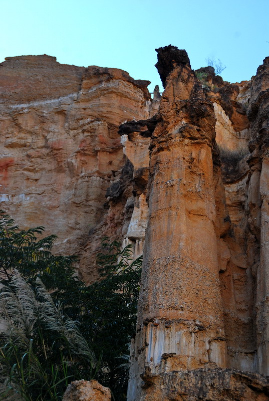 dsc_4621.jpg