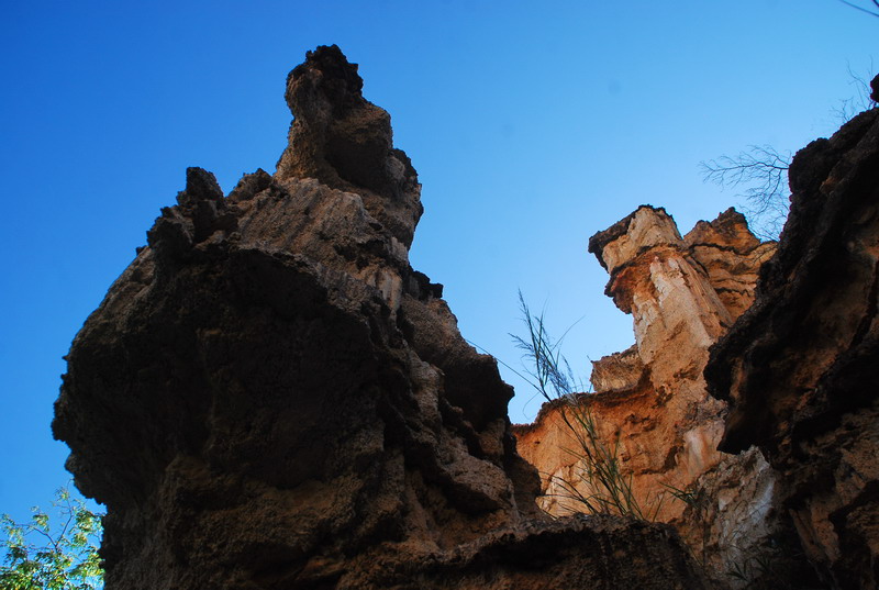 dsc_4627.jpg