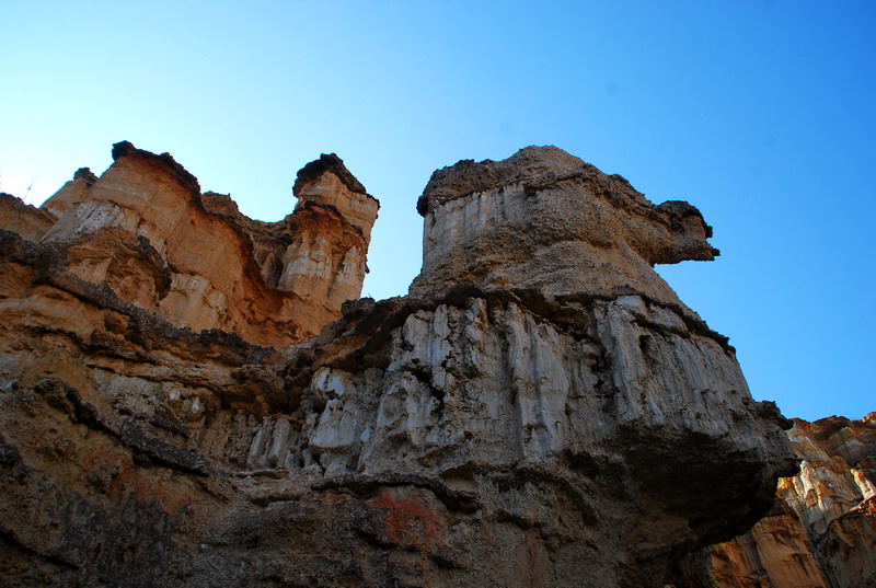dsc_4626.jpg