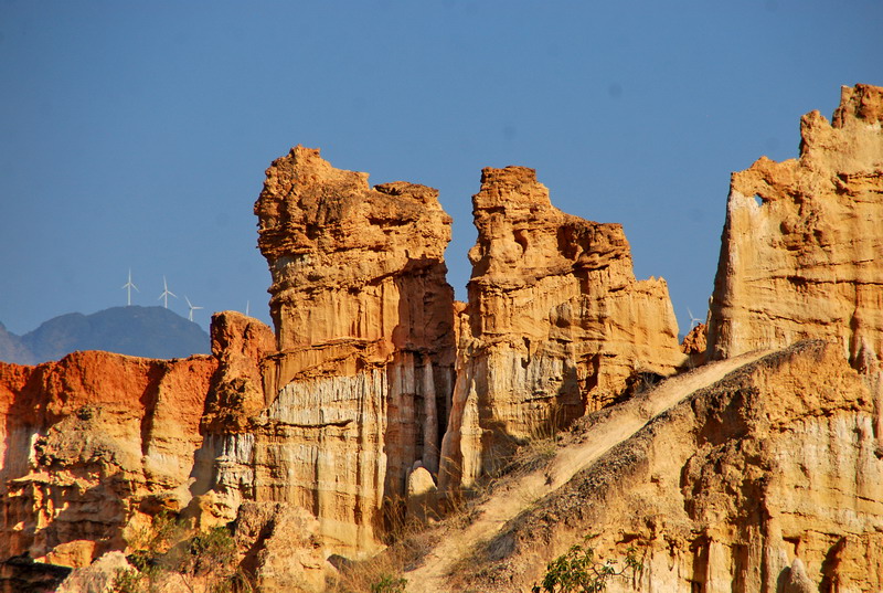 dsc_4655.jpg