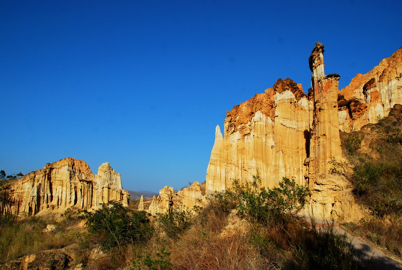 dsc_4745.jpg