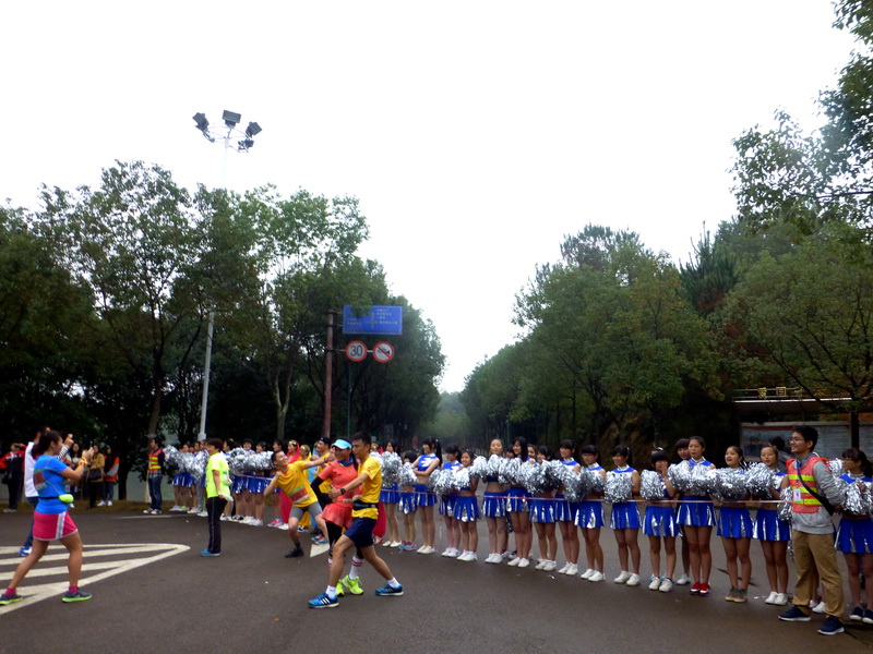 p1290892.jpg