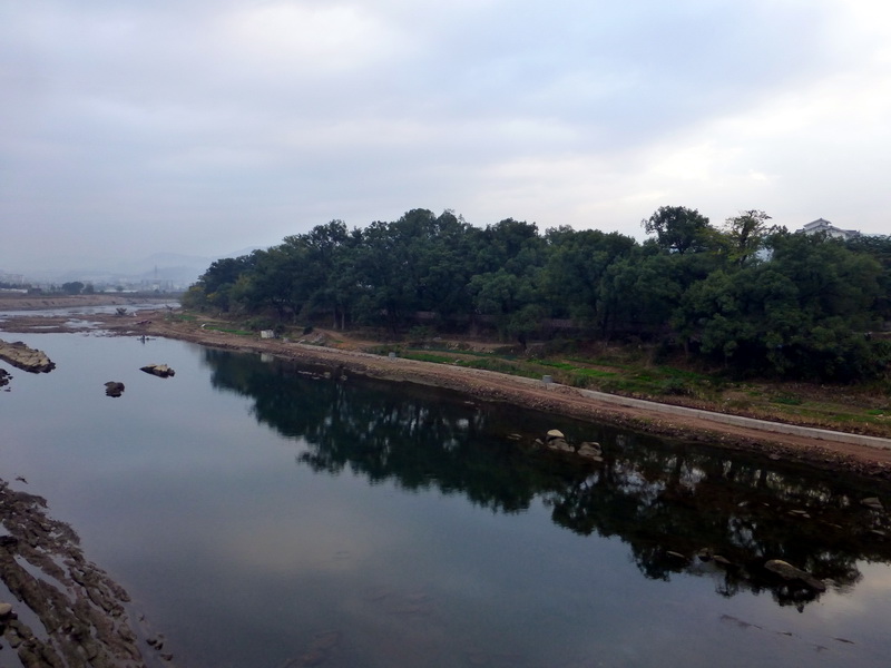 p1290593.jpg