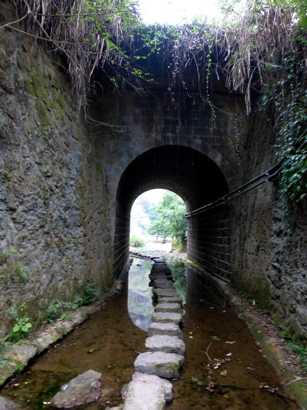 p1290651.jpg