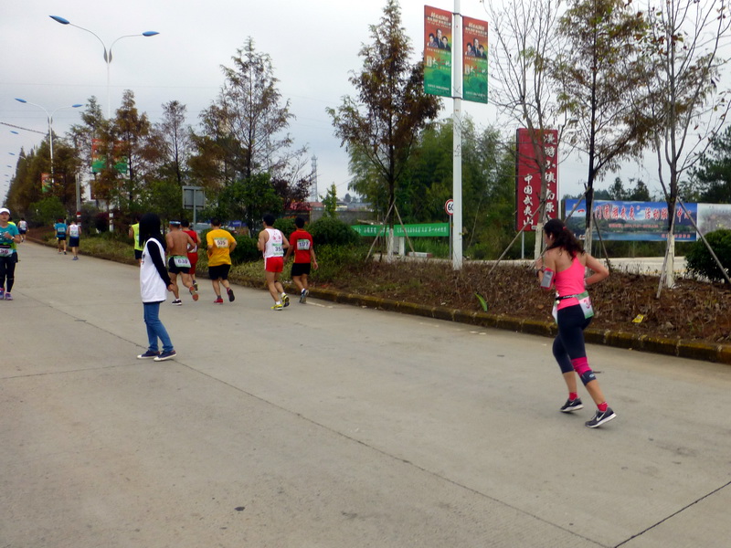 p1290972.jpg