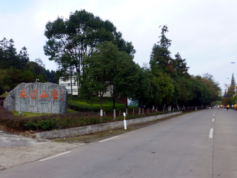 p1290990.jpg