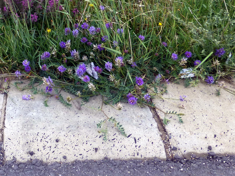 p1240534.jpg