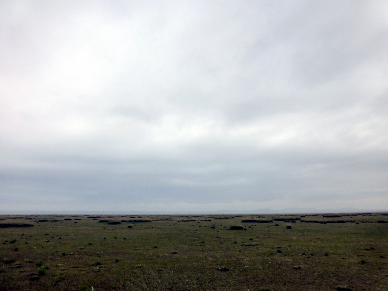 p1240540.jpg