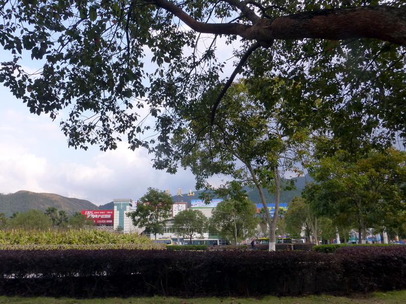 p1300011.jpg