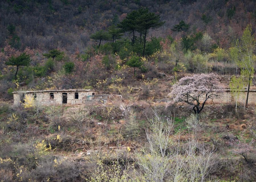 dsc_2589.jpg