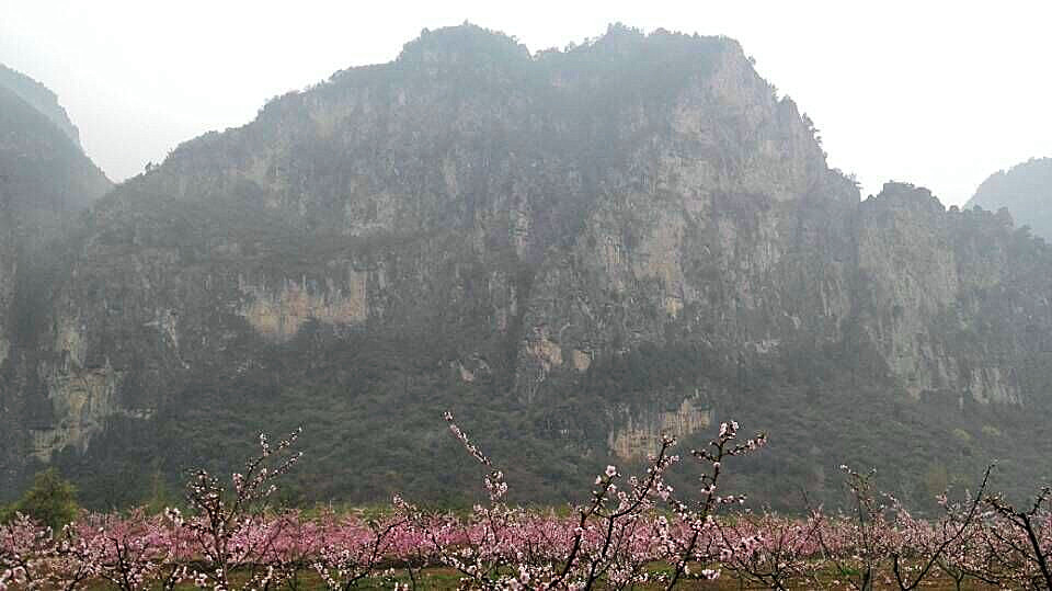 qqͼƬ20150430120107.jpg