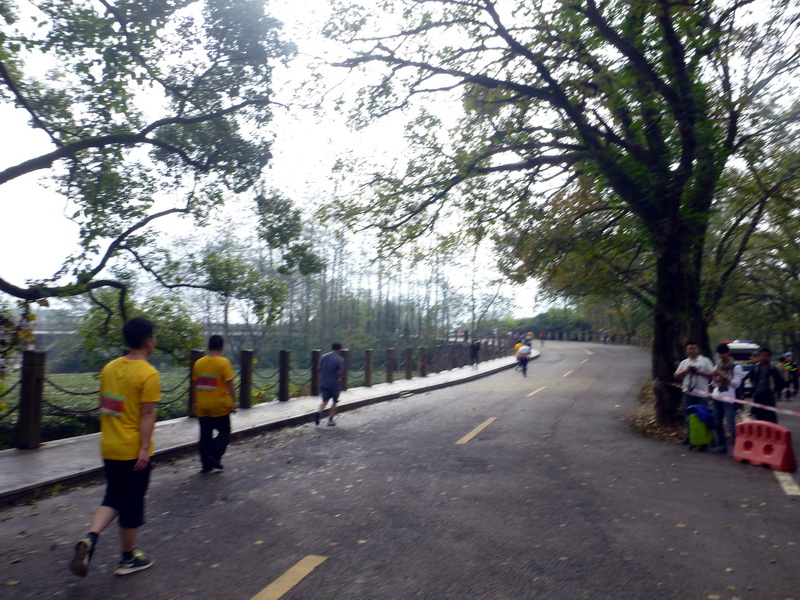p1290936.jpg