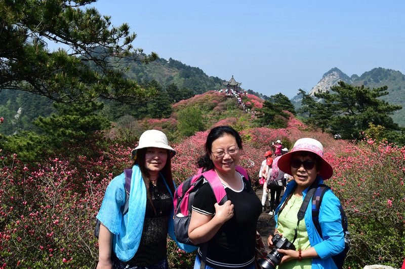 dsc_0441_����_1.jpg