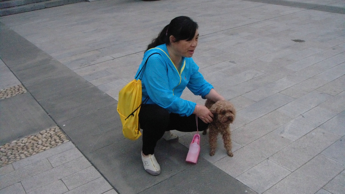 dsc00608.jpg