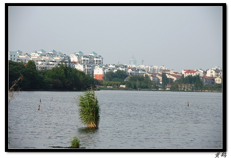 īˮ��2011ӡ��28.jpg