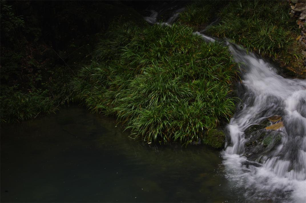 _igp7627.jpg