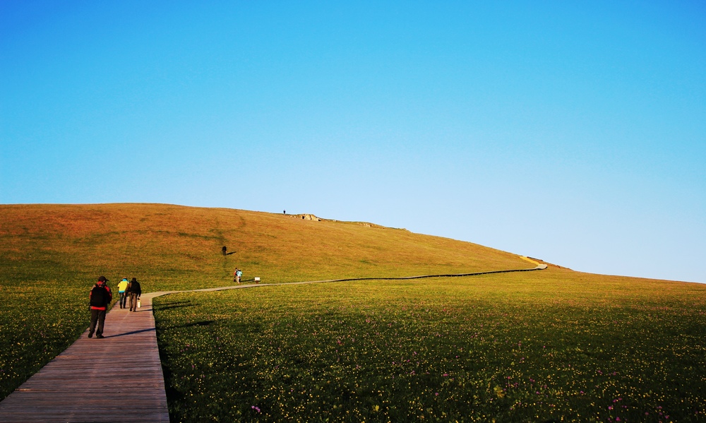 �ؿ�˹������48.jpg