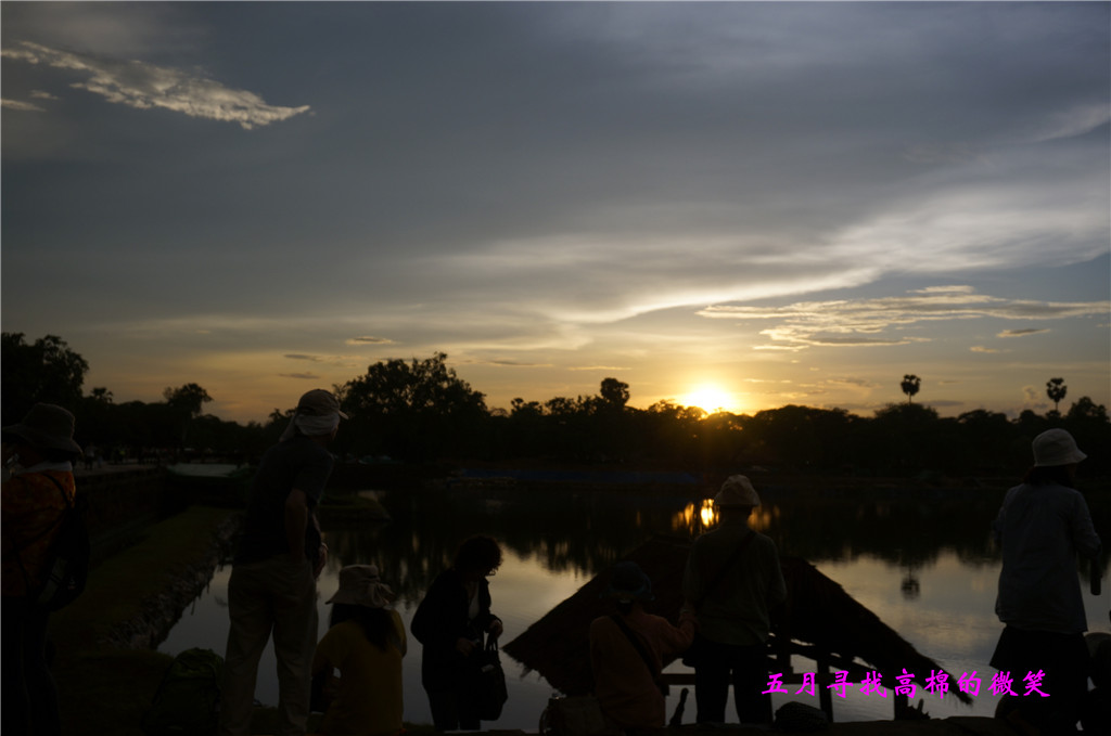 _dsc9786_����.jpg