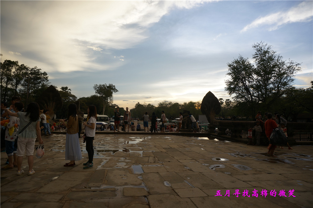 _dsc9790_����.jpg