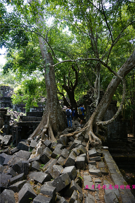 _dsc9968_����.jpg