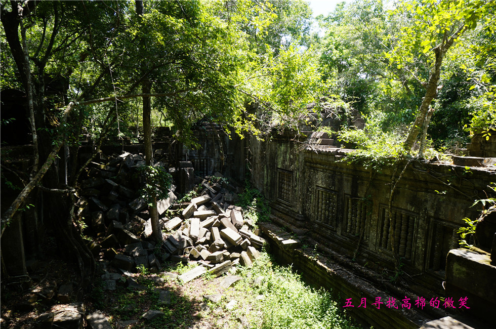 _dsc9978_����.jpg