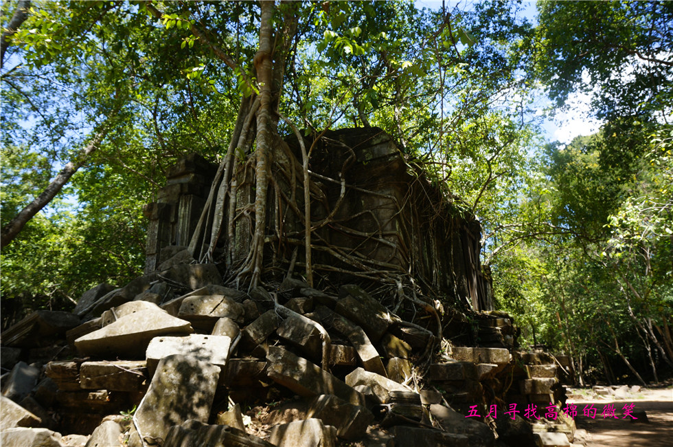 _dsc9990_����.jpg