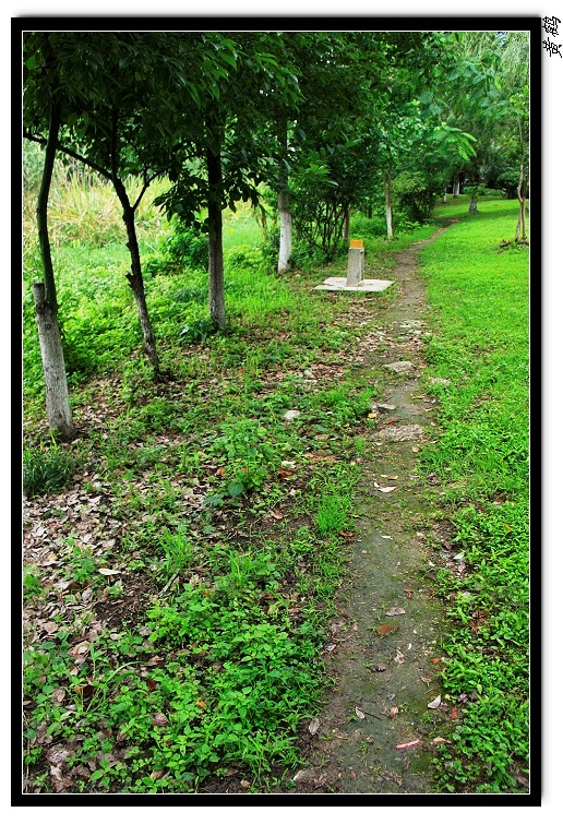 īˮ��033.jpg