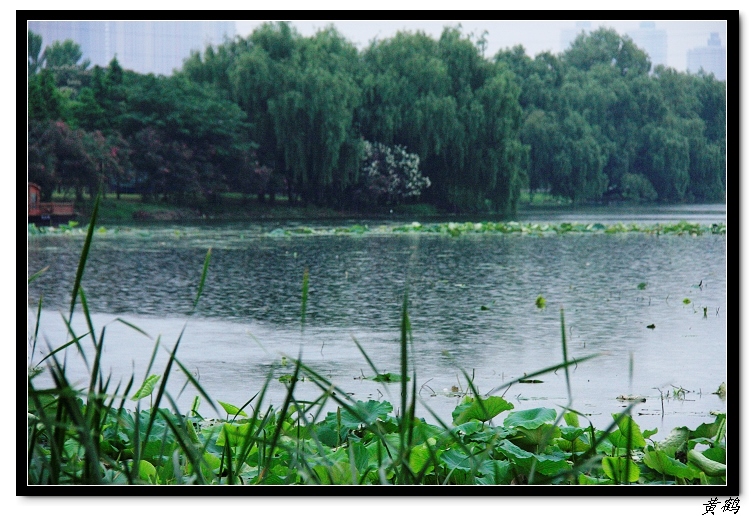 īˮ��042.jpg