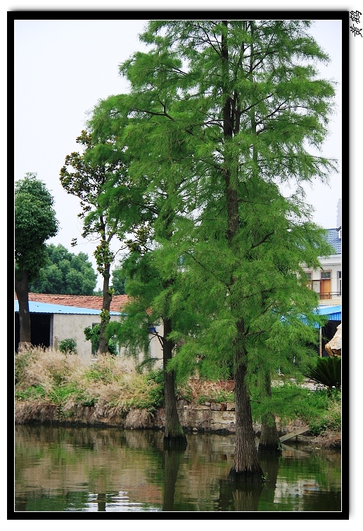 īˮ��080.jpg