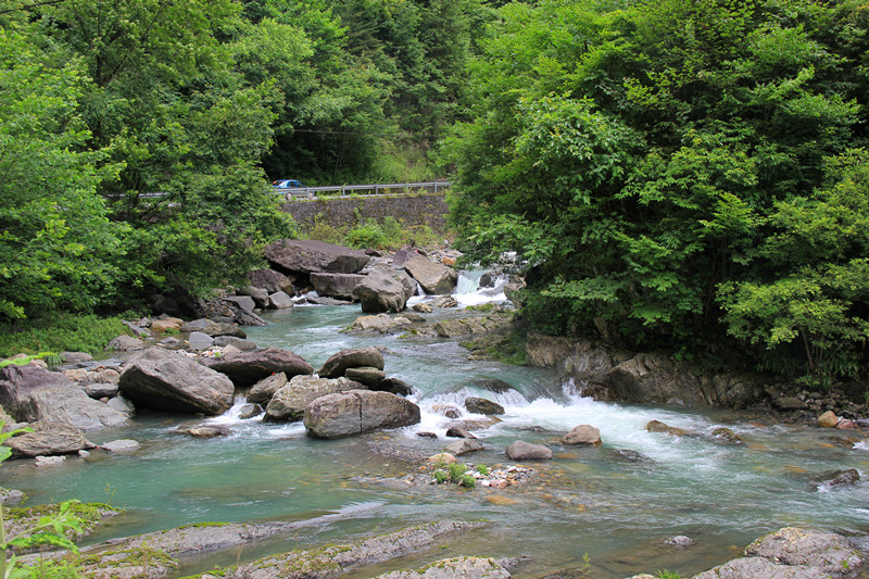 img_16.jpg