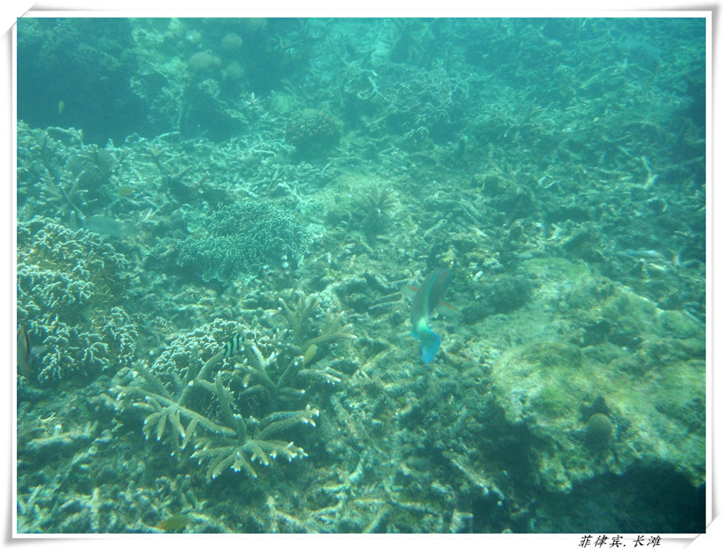 dscf2124_����_����.jpg