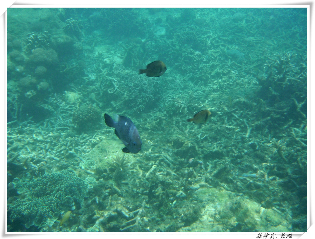 dscf2125_����.jpg
