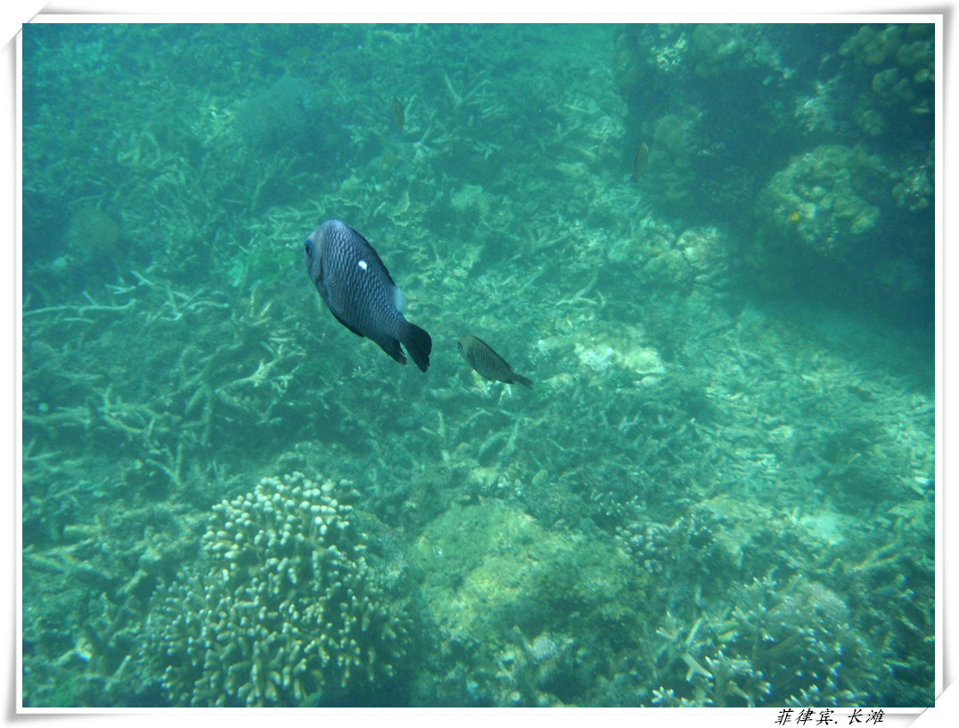 dscf2126_����.jpg
