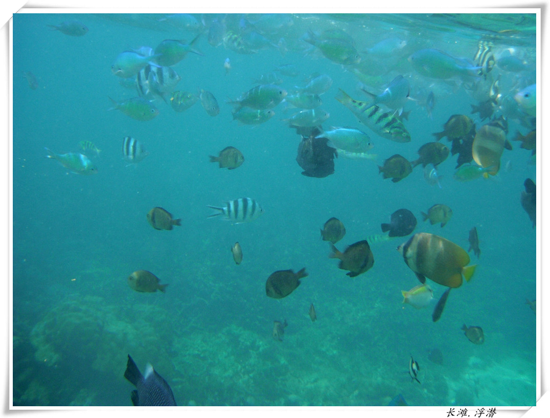 dscf2139_����.jpg