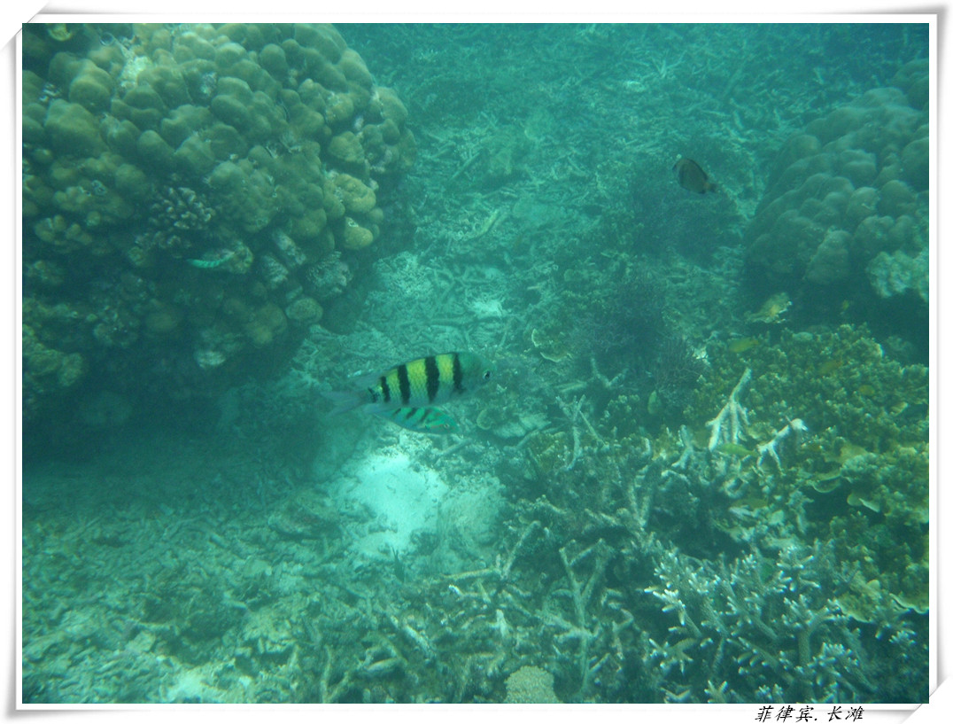 dscf2127_����.jpg