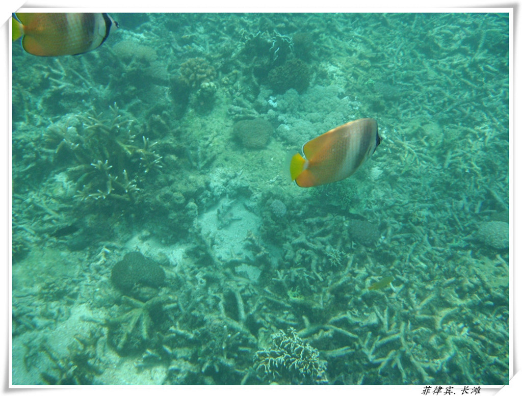 dscf2129_����_����.jpg