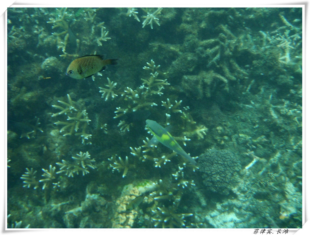 dscf2130_����.jpg