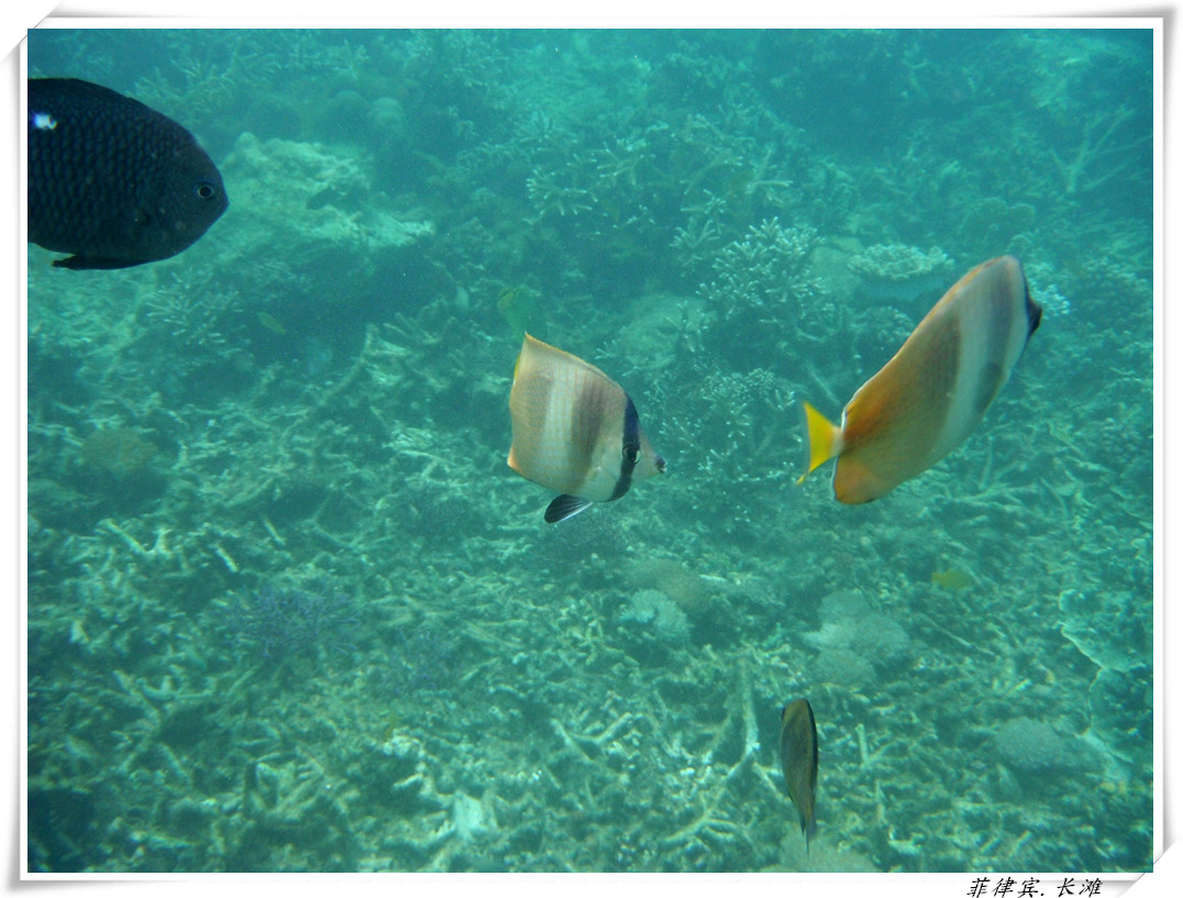 dscf2133_����.jpg
