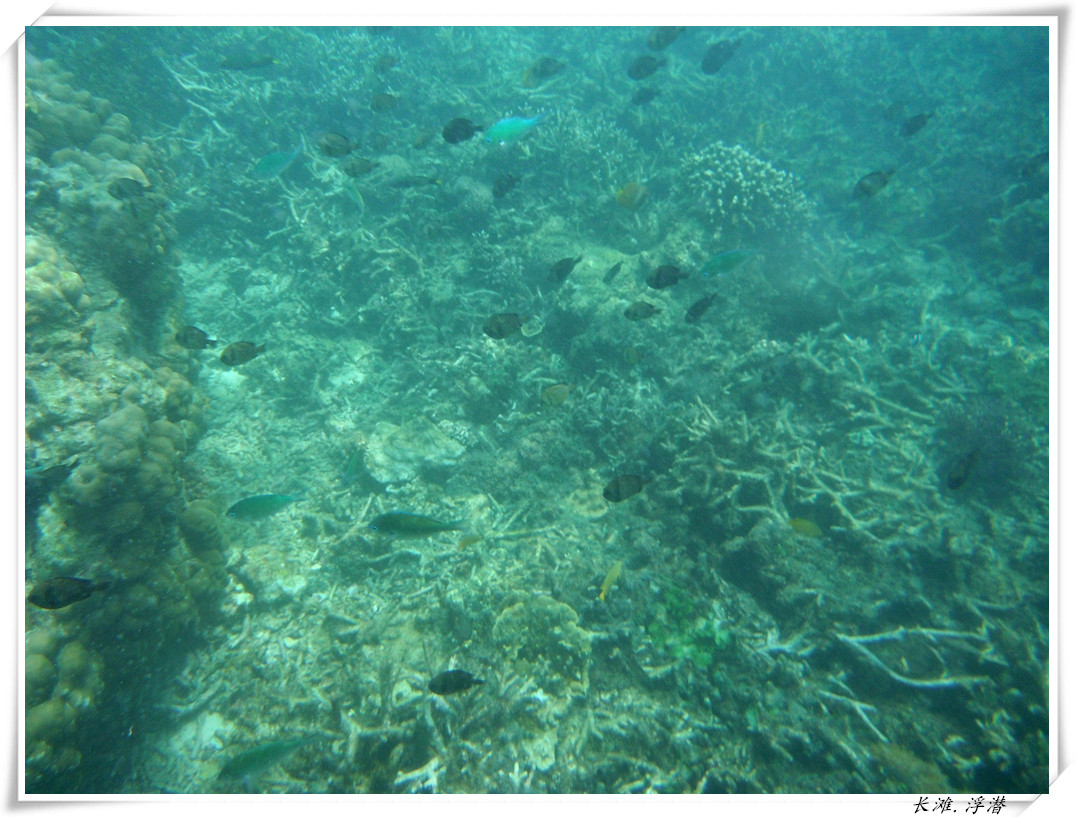 dscf2158_����.jpg