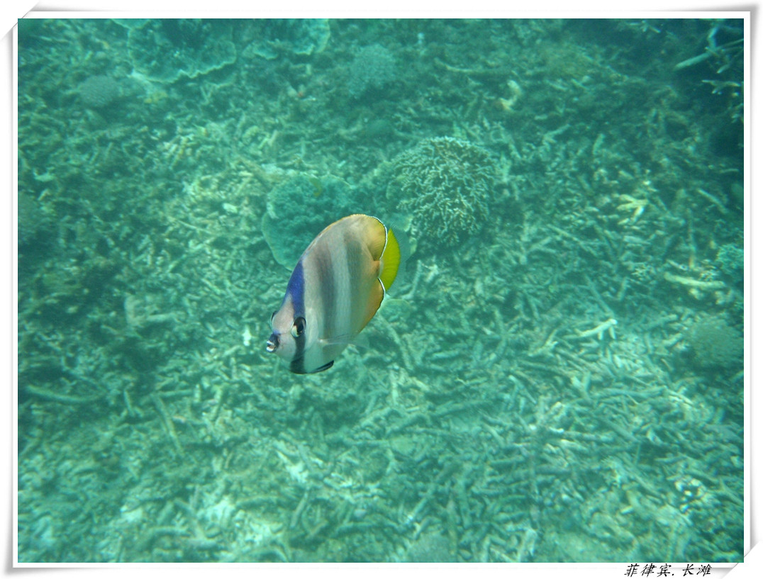 dscf2132_����.jpg