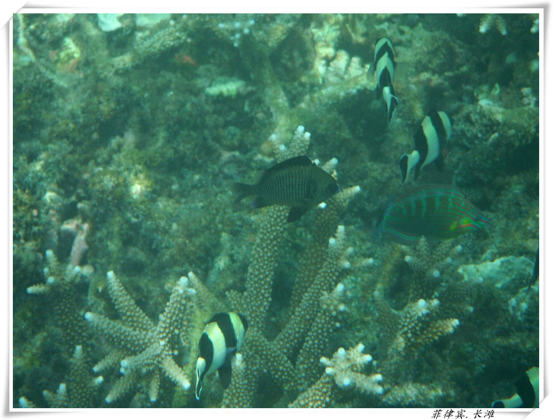 dscf2120_����.jpg