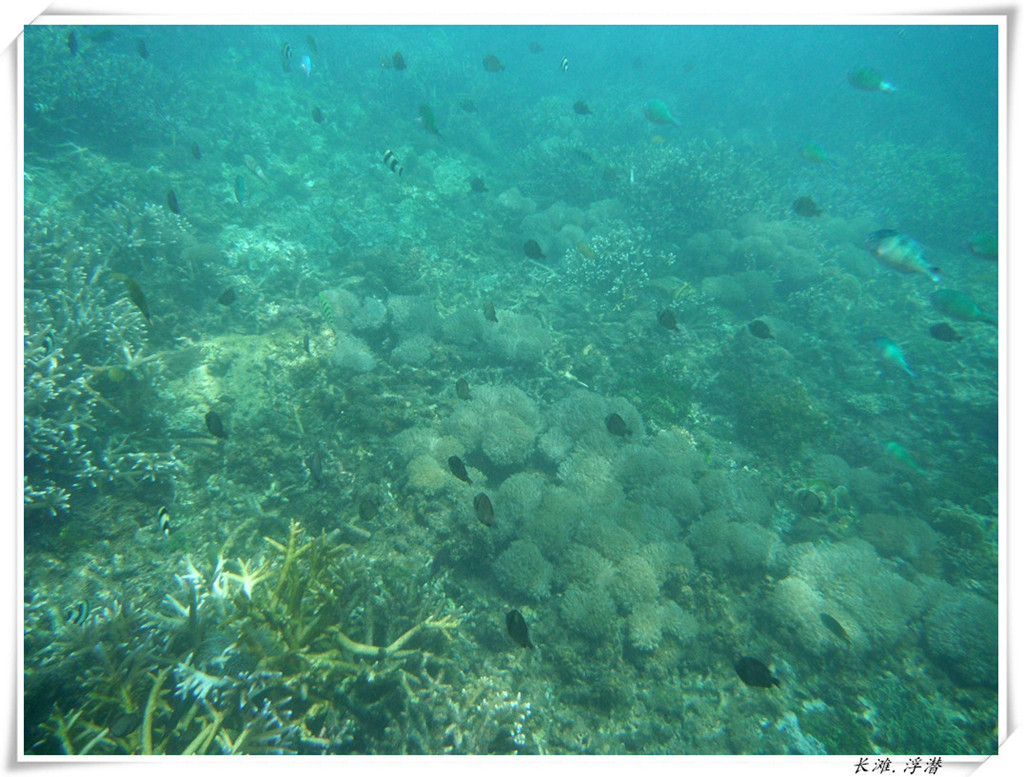 dscf2160_����_����.jpg