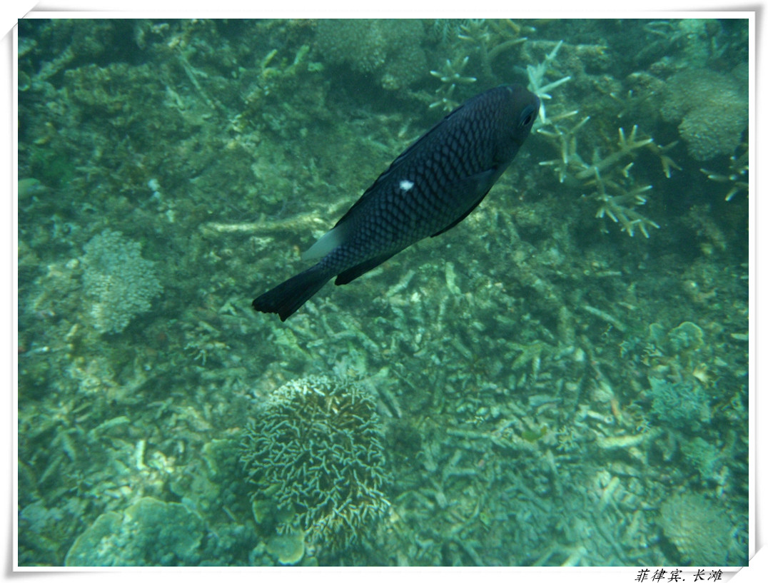dscf2134_����.jpg