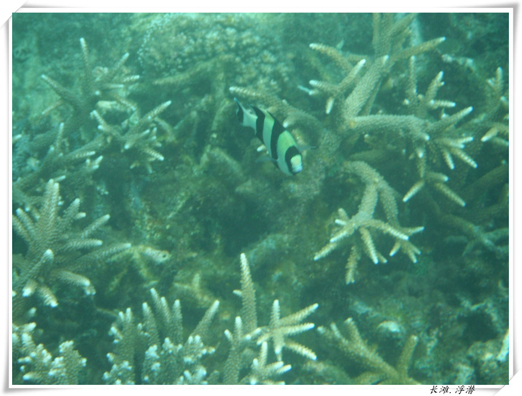 dscf2155_����.jpg