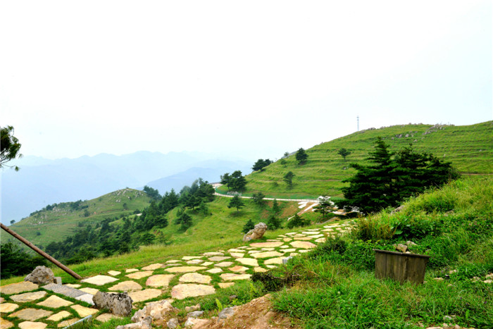 dsc_5505_副本.jpg