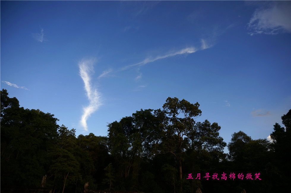 _dsc0152_����.jpg