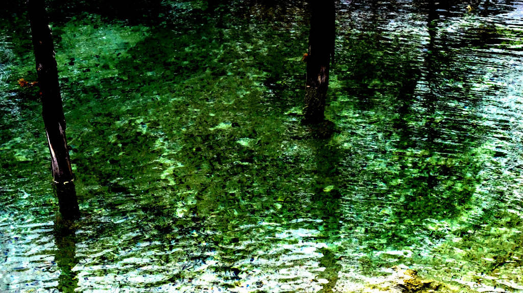 dscf0328.jpg