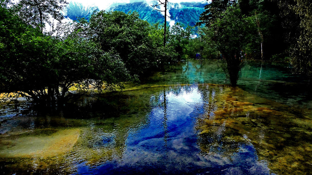 dscf0330.jpg