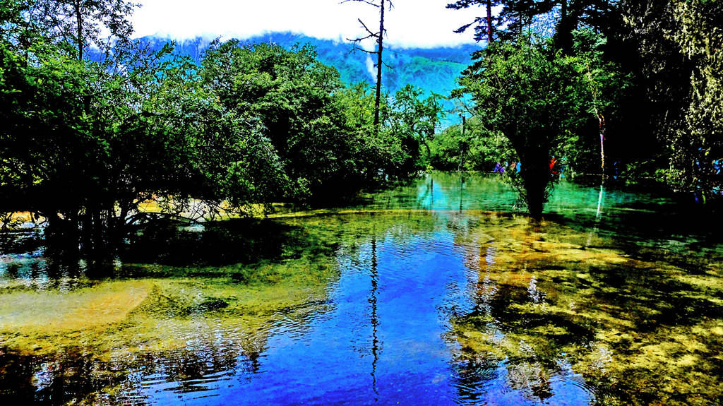 dscf0331.jpg