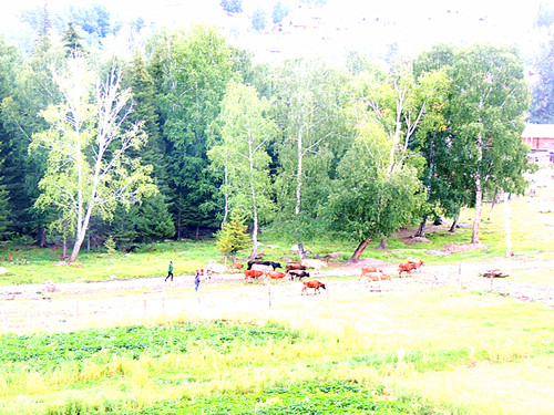 dscn0323_����.jpg